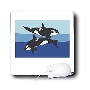   Whales ( Orcinus Orca ) without caption   Mouse Pads Electronics