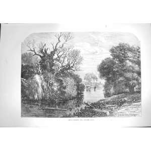   1871 View Tichborne Park Alresford Hants River Trees