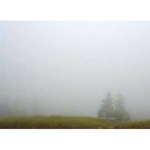  Lost in a Fog, Limited Edition Photograph, Home Decor 