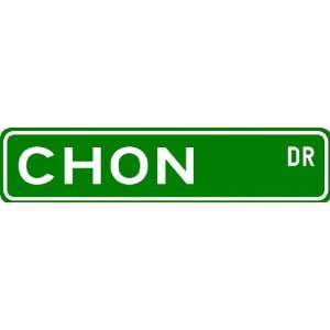  CHON Street Sign ~ Personalized Family Lastname Sign 