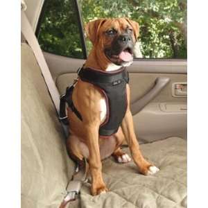  Solvit Pet Vehicle Safety Harness   4 Sizes   Free 