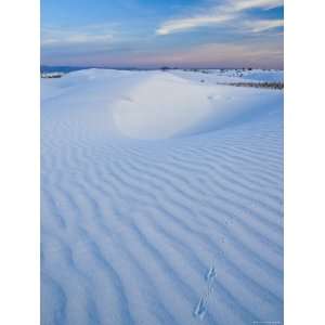  USA, New Mexico, White Sands National Monument Premium 