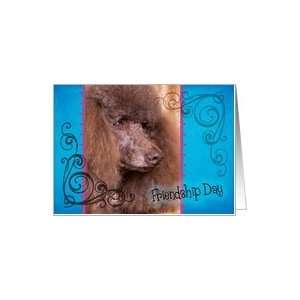 Friendship Day card featuring a brown Standard Poodle Card