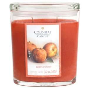  Pack of 2 Oval Apple Orchard Aromatic Candles 22oz