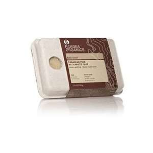   Organics Canadian Pine with White Sage Bar Soap Organic Body Cleansers