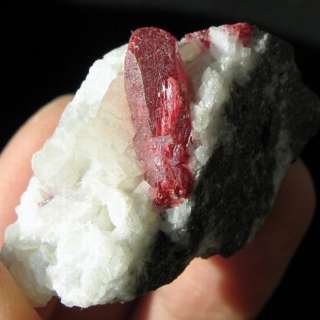 Scarlet Red Cinnabar Crystals on Dolomite dz211  