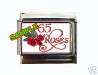 Cystic Fibrosis 65 Roses #1 Custom Italian Charm  