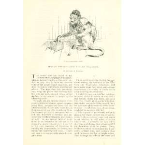  1892 Simian Speech & Simian Thought Chimpanzees Richard 
