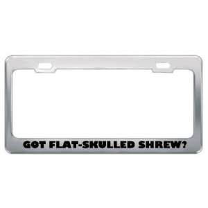 Got Flat Skulled Shrew? Animals Pets Metal License Plate Frame Holder 