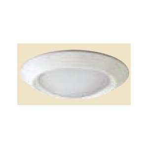   Group 4101 ABZ 4in. Beveled Dome Lensed Deco Shower