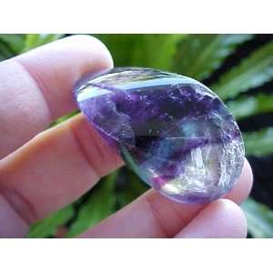   Gemqz Rainbow Fluorite Carved Doubled Shell China  