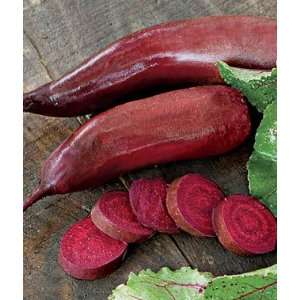  Beet, Cylindra Organic 1 Pkt. (216 Seeds) Patio, Lawn 