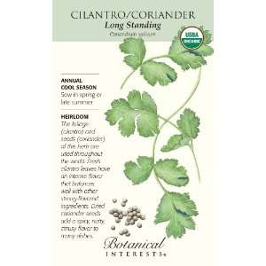  Organic Cilantro / Coriander Seeds   Large Packet Patio 