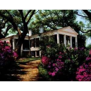    Morning Blooms artist Corley 30x24 CLEARANCE
