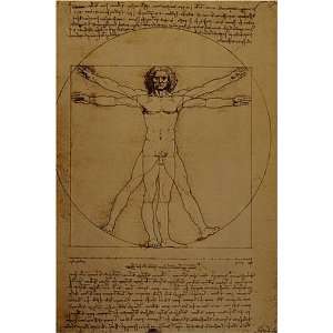  Studio del Corpo Umano by Leonardo da Vinci, 17 x 20 