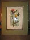 Lg Bird & Floral Water Color Painting Signed M F Templeton 6/100 