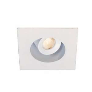 WAC Lighting Model LED252  2 in LED Adjustable Downlight Housing and 