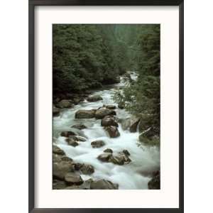 Rocky Mountain Stream Photos To Go Collection Framed Photographic 