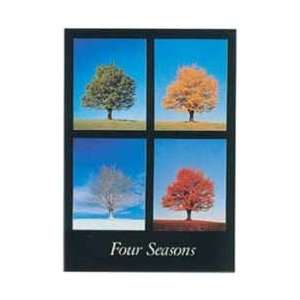  Scenery Posters Four Seasons   Trees Poster   86x61cm 