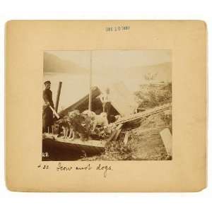 Group of dogs,river scow,perched,c1897