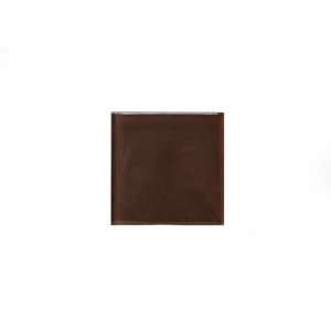    Noble Glass Tile 4 x 4 Brown Glossy Sample