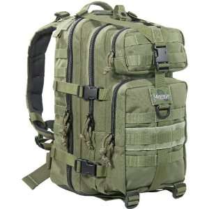 Maxpedition   Falcon II BackPack, OD Green  Sports 