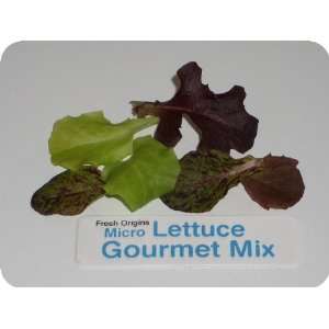 Micro Greens   Lettuce Gourmet Mix   4 x 4 oz  Grocery 
