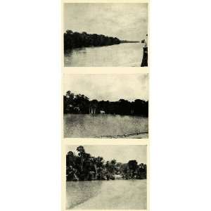  1906 Print  River Santarem Para Obidos Shore Forest 