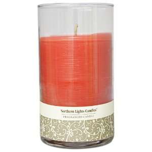   Northern Lights NLC 6 Inch Glass Candle, Summer Citrus