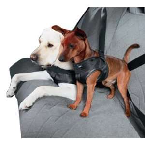  BMW Dog Safety Harness   Small Automotive