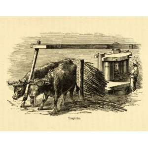  1875 Lithograph Trapiche Argentina Ox Bull Grinding Wheat Farm 