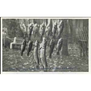   Mornings Catch at Beverly Hotel, Antioch, Ill. 1928 