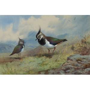  FRAMED oil paintings   Archibald Thorburn   24 x 16 inches 