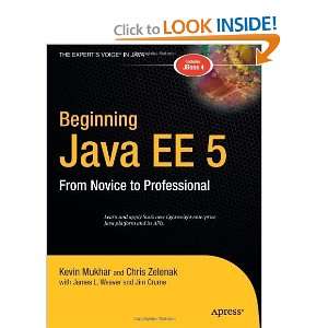 Beginning Java EE 5  