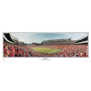   Bulldogs Sanford Stadium Everlasting Images Framed 