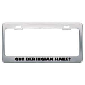  Got Beringian Hare? Animals Pets Metal License Plate Frame 