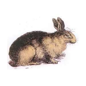  LaBlanche Silicone Stamp 3.7X2.8 Resting Rabbit; 3 Items 