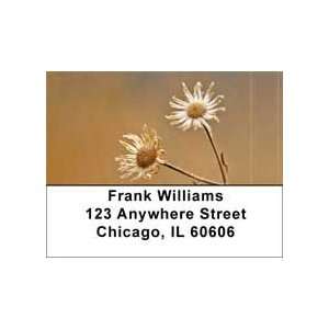  Dried Flowers Address Labels