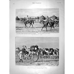  1898 Osman Digna Adarama Soudan Atbara Camels Transport 