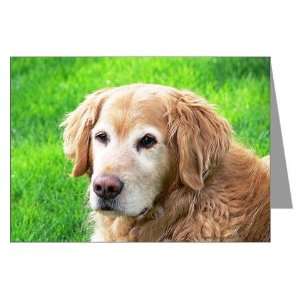 Portrait Golden Retriever Greeting Cards Pk of 10 Pets Greeting Cards 