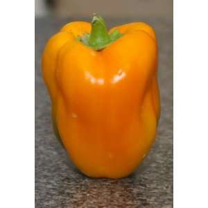 Orange Bell Pepper