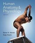 Human Anatomy & Physiology by Katja Hoehn, Elaine N. Marieb and Elaine 
