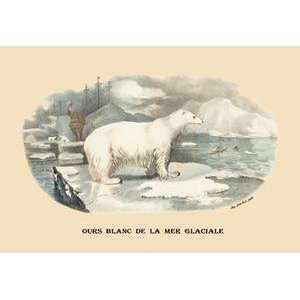  Vintage Art Ours Blanc de la Mer Glaciale (Polar Bear 