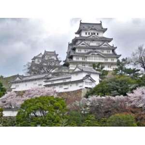  Himeji Castle during Sakura   Peel and Stick Wall Decal by 