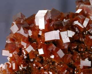   PERFECT 5 INCH MUSEUM VANADINITE CRYSTAL GROUP, MIBLADEN, MOROCCO