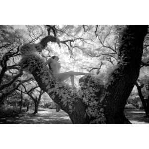  Greynold Park 2, Limited Edition Photograph, Home Decor 