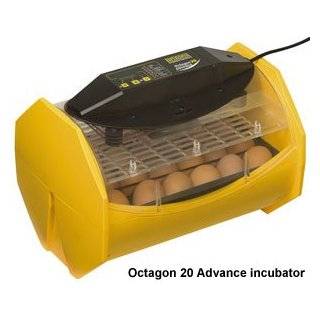  Brinsea Octagon 20 ECO Auto Turn Egg Incubator