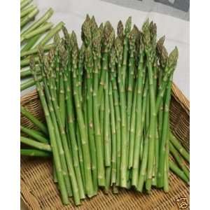  Asparagus Mary Washington Great Heirloom Vegetable 50 