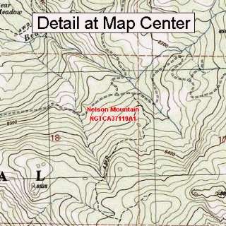  USGS Topographic Quadrangle Map   Nelson Mountain 