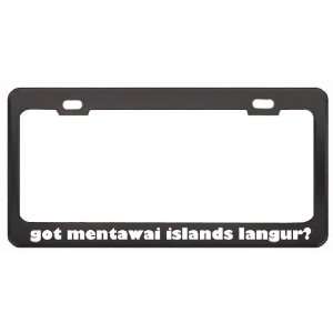 Got Mentawai Islands Langur? Animals Pets Black Metal License Plate 
